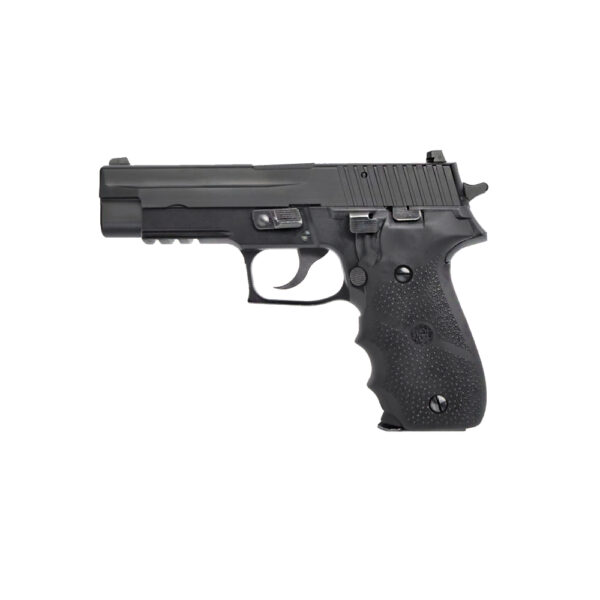 P226 with Hogue Rubber Grip